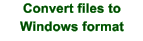convert files to Windows format