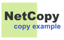 NetCopy copy example