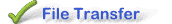 file transfer