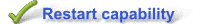 network file replication